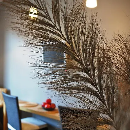 La Gioia Modern Designed